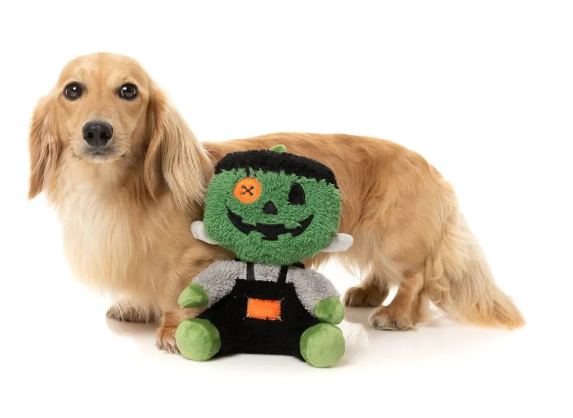Jack-O Chan Frankenstein - Dog Toy