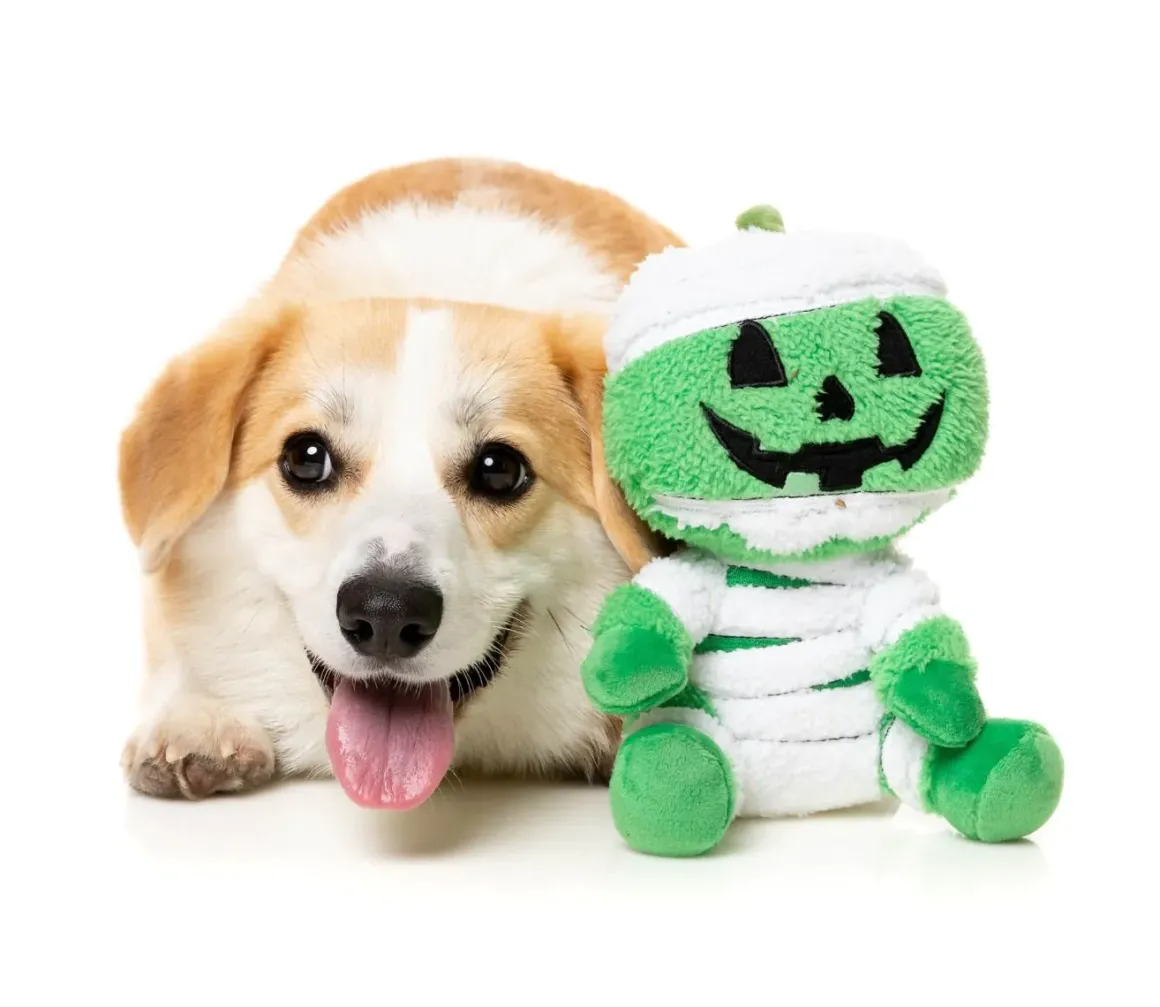 Jack-O Chan Mummy - Dog Toy