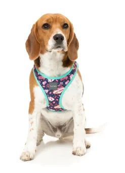 Jackpup - Step In Harness