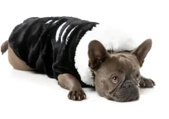 Jerry Spinefield - Fluffy Hoodie Costume