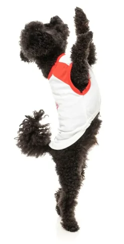 Just Be Naughty - T-shirt