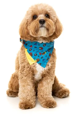 Kings of Gold School Bandana