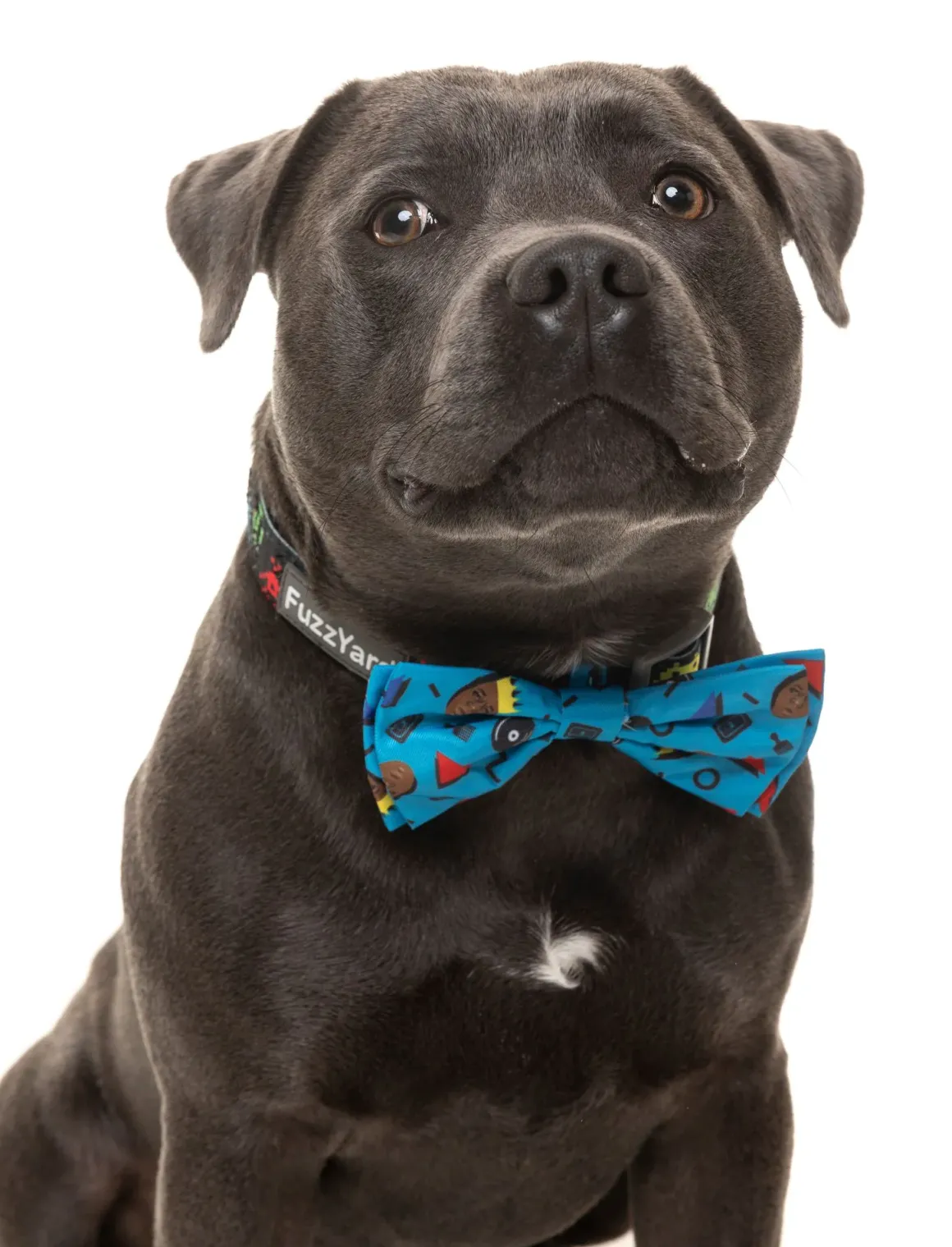 Kings of Gold School Bowtie