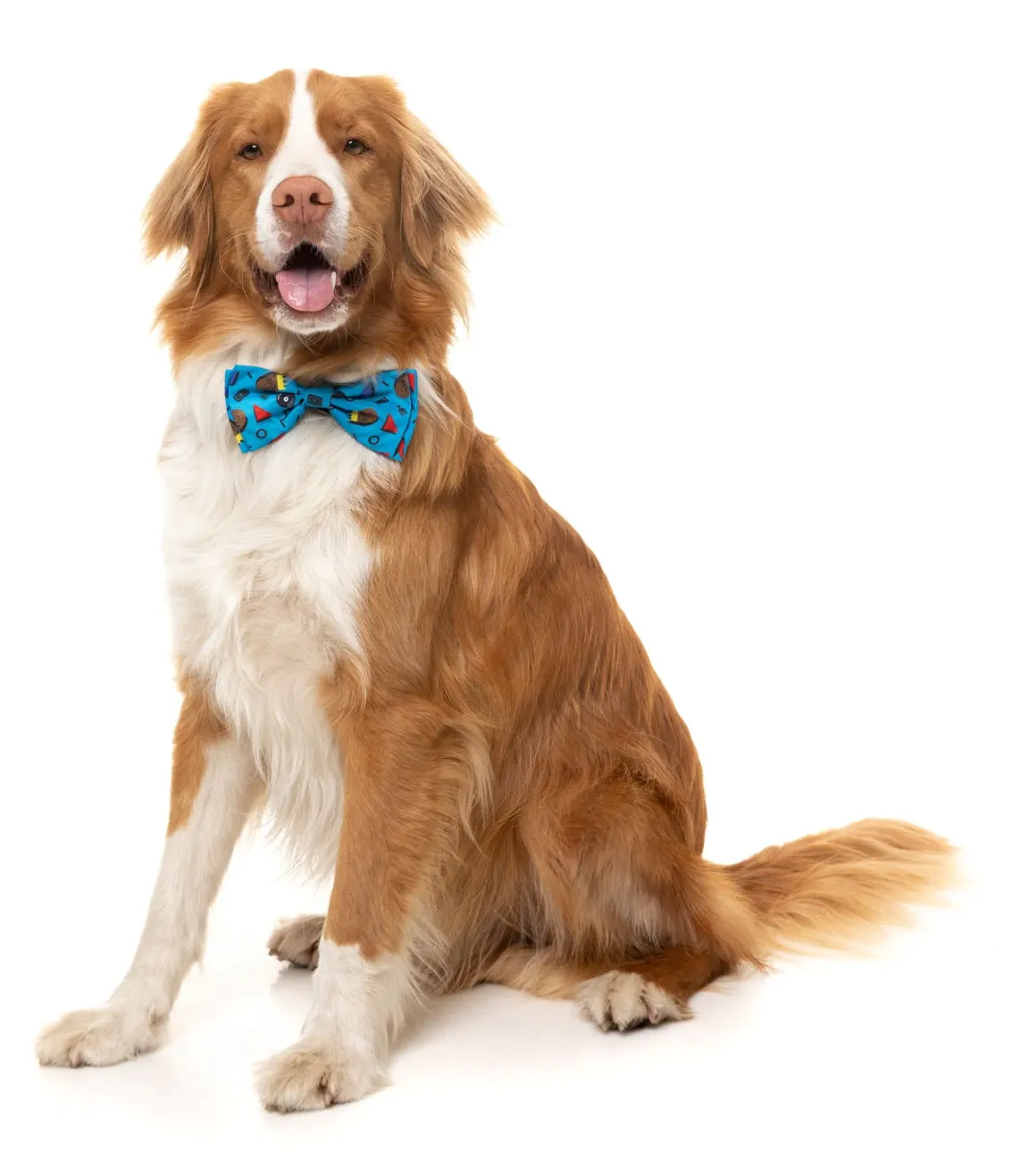 Kings of Gold School Bowtie