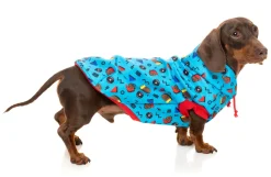 Kings of Gold School Hoodie