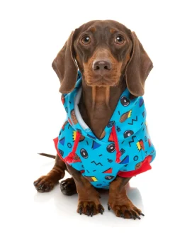 Kings of Gold School Hoodie