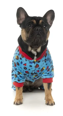 Kings of Gold School Pajamas