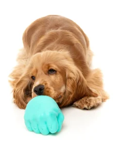 Knuckle Sandwich - Interactive Chew Toy