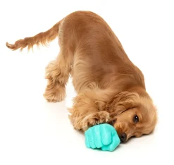 Knuckle Sandwich - Interactive Chew Toy