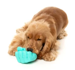 Knuckle Sandwich - Interactive Chew Toy