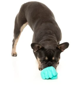 Knuckle Sandwich - Interactive Chew Toy