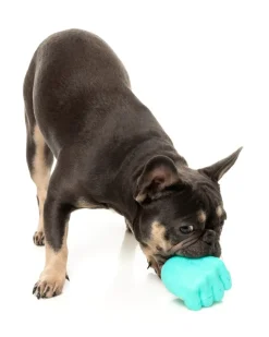 Knuckle Sandwich - Interactive Chew Toy