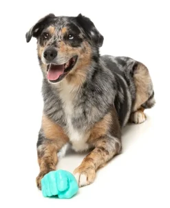 Knuckle Sandwich - Interactive Chew Toy