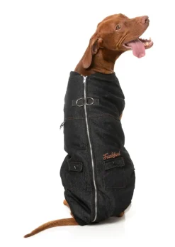 Kojima Harness Jacket - Black