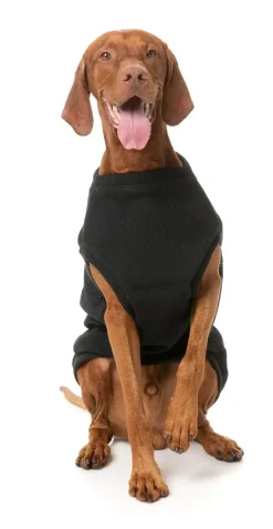 Kojima Harness Jacket - Black