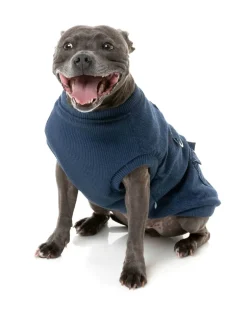 Kojima Harness Jacket - Indigo