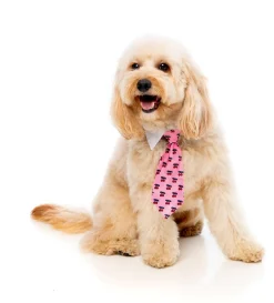 Lady Cherrybomb Necktie