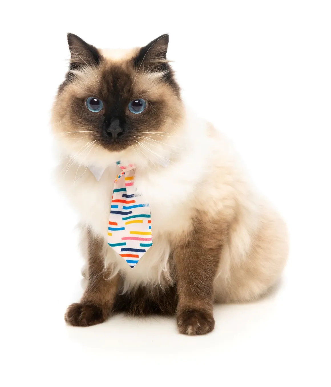 Lord Carnaby Necktie