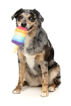 Love Icy Pole - Dog Toy