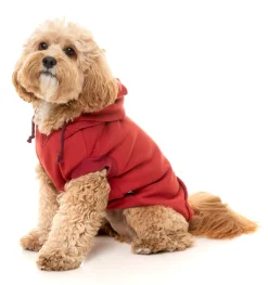 Maroon Street Hoodie