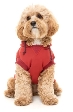 Maroon Street Hoodie