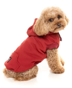 Maroon Street Hoodie