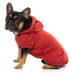 Maroon Street Hoodie