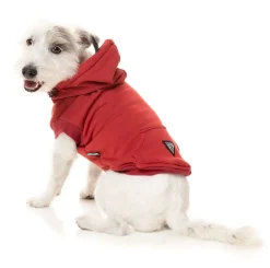 Maroon Street Hoodie