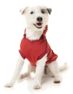 Maroon Street Hoodie