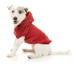 Maroon Street Hoodie