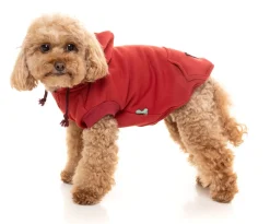 Maroon Street Hoodie