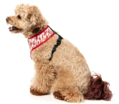 Meat Heads - Dog Harness