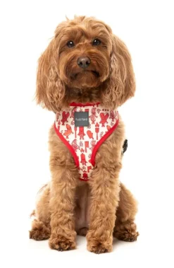 Meat Heads - Dog Harness