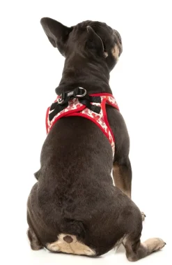 Meat Heads - Dog Step In Harness