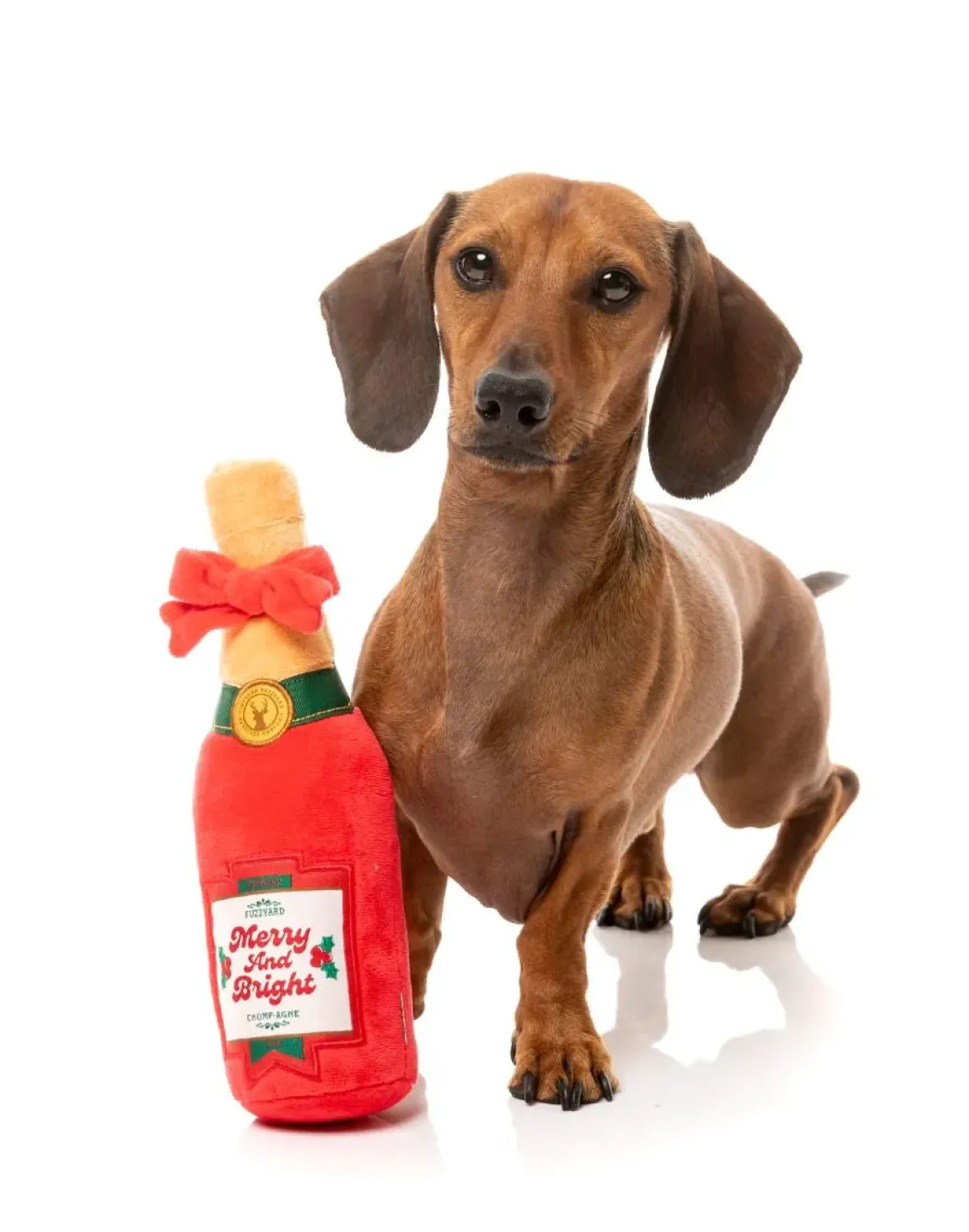 Merry & Bright Chompagne - Dog Toy