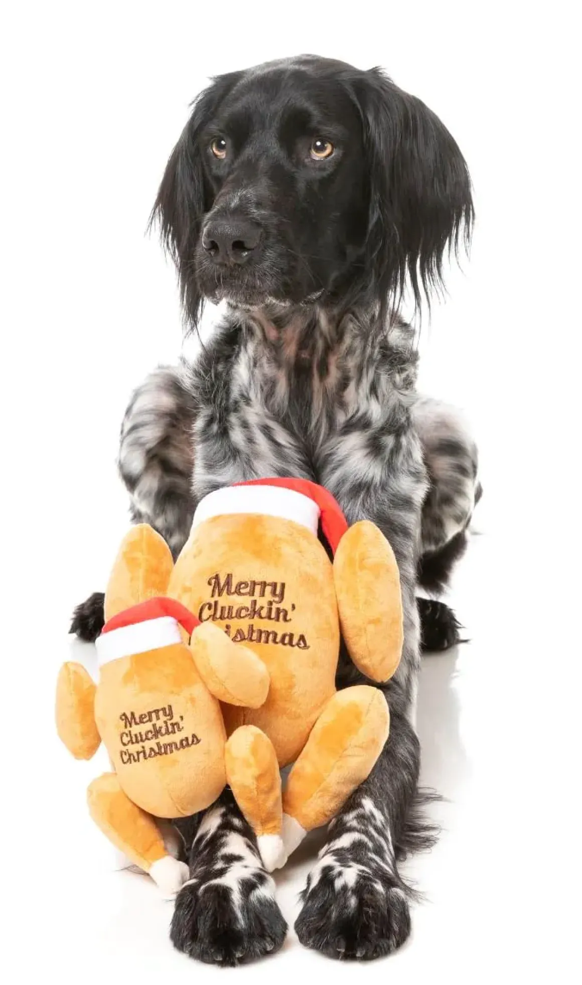 Merry Cluckin' Christmas - Dog Toy