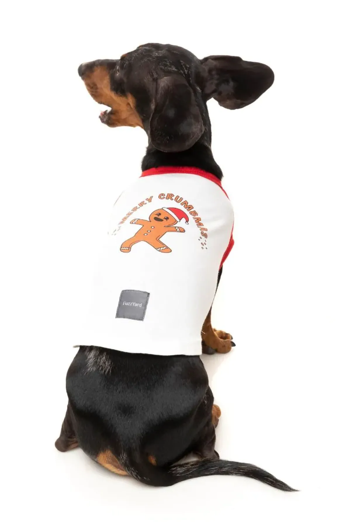 Merry Crumbmas - T-shirt