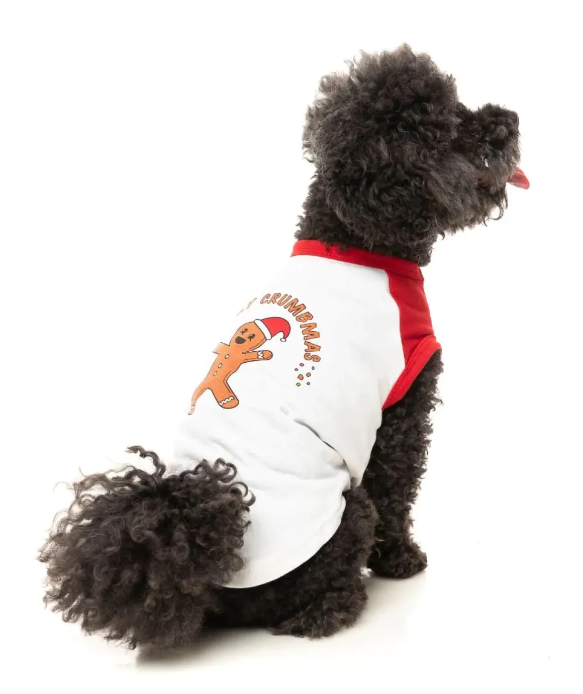 Merry Crumbmas - T-shirt