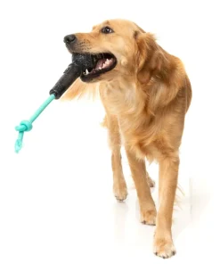 Mic Drop - Interactive Chew Toy