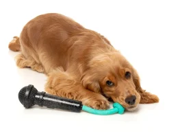 Mic Drop - Interactive Chew Toy