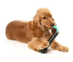 Mic Drop - Interactive Chew Toy