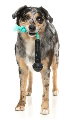 Mic Drop - Interactive Chew Toy