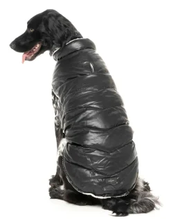 Milano Jacket - Black