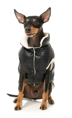 Milano Jacket - Black