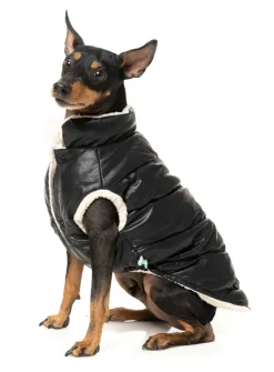 Milano Jacket - Black