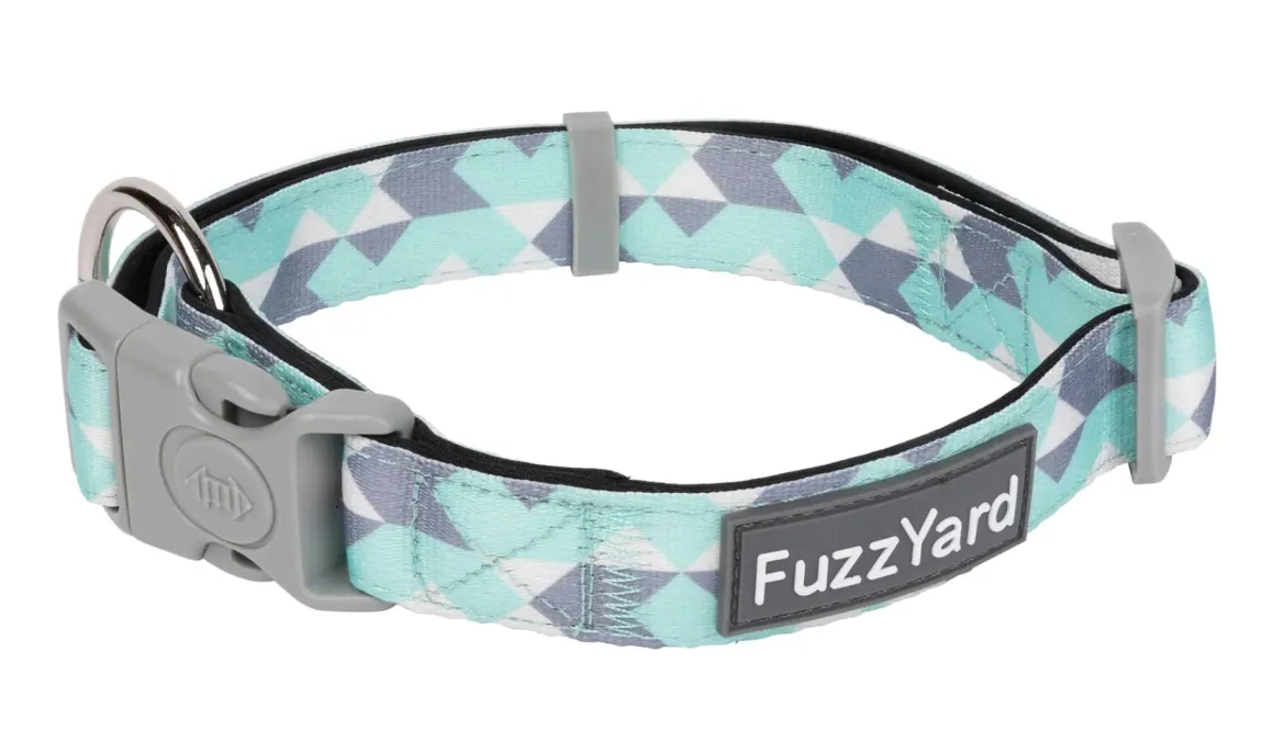 Mint Fizz - Dog Collar