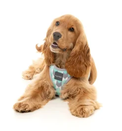 Mint Fizz - Dog Step In Harness