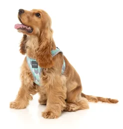 Mint Fizz - Dog Step In Harness