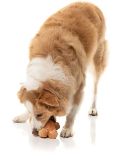 Mistle-Dough - Dog Toy