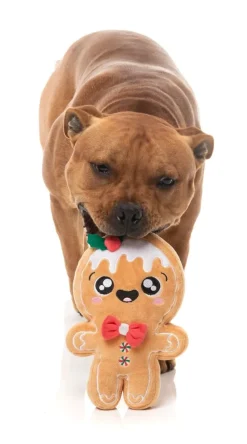 Mistle-Dough - Dog Toy